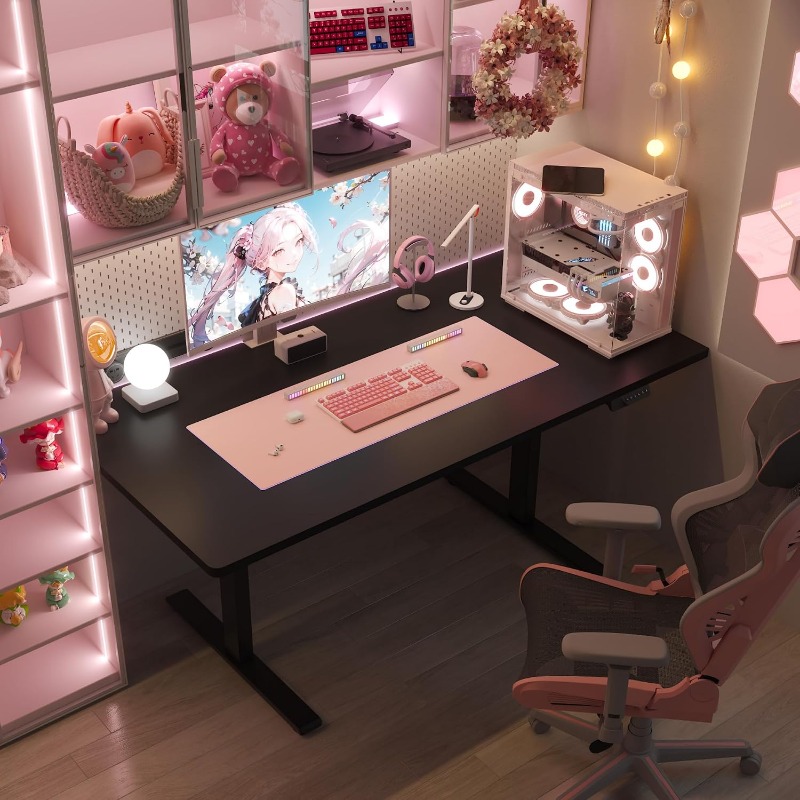 FLEXISPOT Elektrikli Ayakta Ça - Dual Monitor Desk Setup incelemesi ve fiyatı